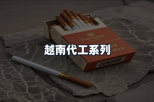 越南代工系列